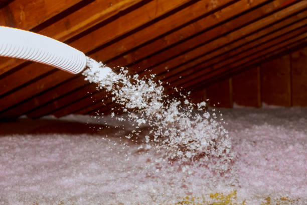 Best Cellulose Insulation in La Ada Flintridge, CA